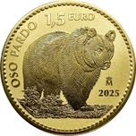 2025  1 ONZA OSO PARDO